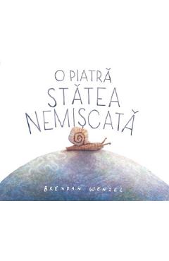 Coperta cărții 'O piatră stătea nemișcată - Brendan Wenzel'