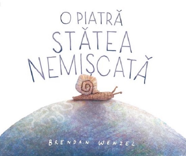 Coperta cărții 'O piatră stătea nemișcată - Brendan Wenzel'