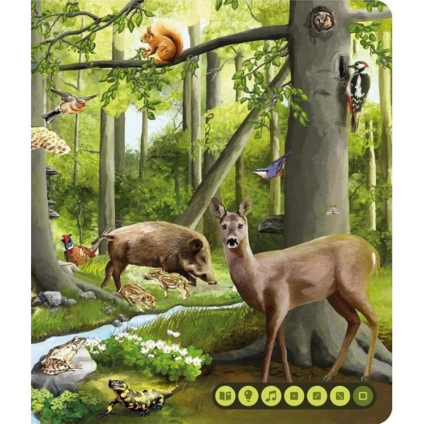 Carte interactiva: Raspundel Istetel. Lumea animalelor