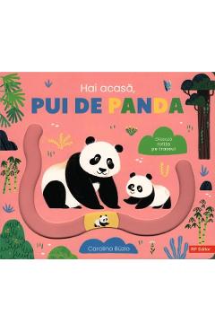 Coperta cărții 'Hai acasă, pui de panda - Carolina Buzio'