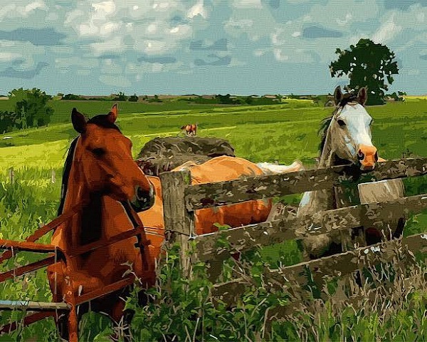Imaginea produsului 'Pictură pe numere: Cai'