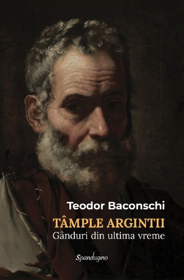Coperta cărții 'Tâmple argintii. Gânduri din ultima vreme - Teodor Baconschi'