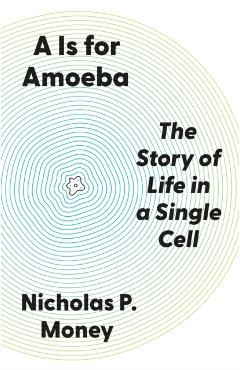 Coperta cărții 'Is for Amoeba - Nicholas P. Money'