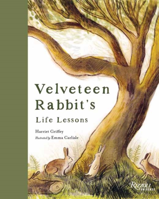 Coperta cărții 'Velveteen Rabbit's Life Lessons - Harriet|carlisle Griffey'