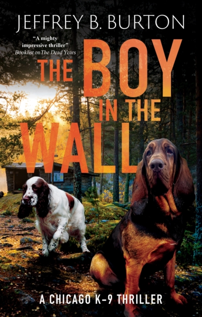 Coperta cărții 'Boy in the Wall - Jeffrey B. Burton'