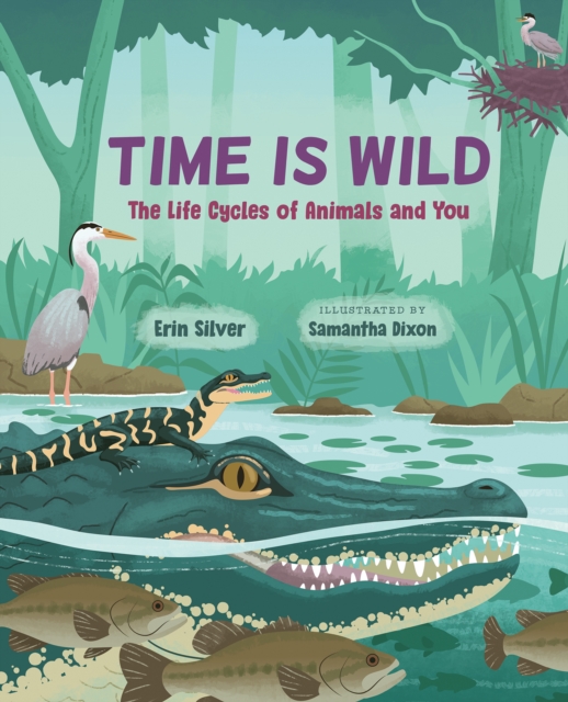 Coperta cărții 'Time Is Wild - Erin Silver'