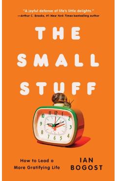 Small Stuff - Ian Bogost