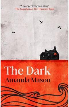 Dark - Amanda Mason