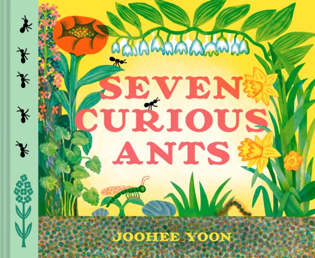 Coperta cărții 'Seven Curious Ants - Joohee Yoon'