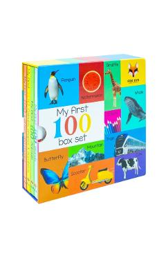Coperta cărții 'My First 100 Words Box Set 4 Board Books Collection Set - Zahira Thadha (fatimah Ghodawala'
