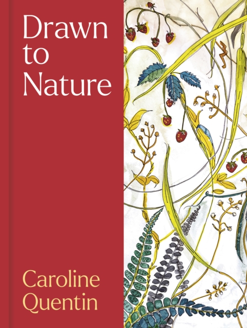 Coperta cărții 'Drawn to Nature - Caroline Quentin'