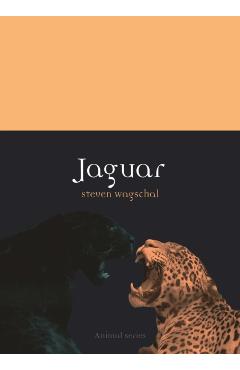 Jaguar - Steven Wagschal