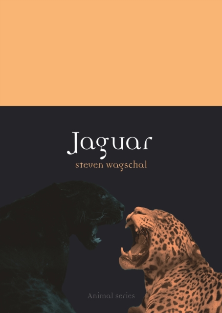 Coperta cărții 'Jaguar - Steven Wagschal'