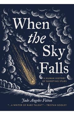 Coperta cărții 'When the Sky Falls - Jade Angeles Fitton'