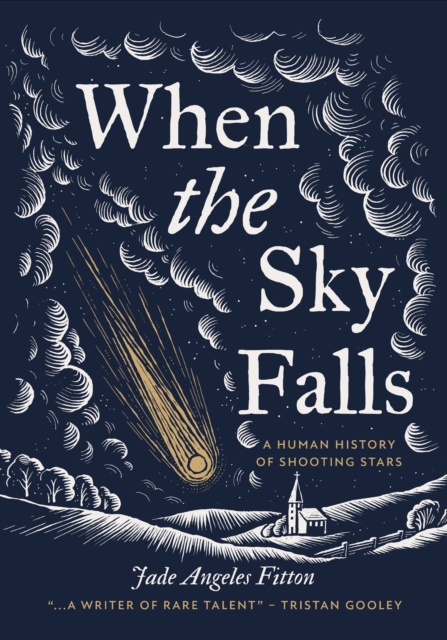 Coperta cărții 'When the Sky Falls - Jade Angeles Fitton'