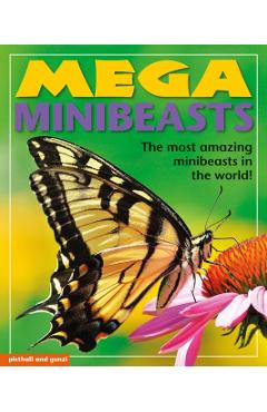 Mega Minibeasts - Nina Filipek