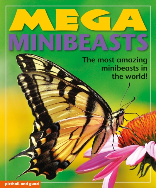 Coperta cărții 'Mega Minibeasts - Nina Filipek'