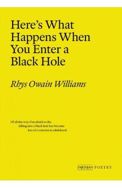 Here's What Happens When You Enter a Black Hole - Rhys Owain Williams
