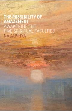 Coperta cărții 'Possibility of Amazement -'