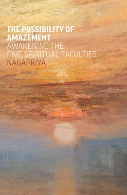 Coperta cărții 'Possibility of Amazement -'