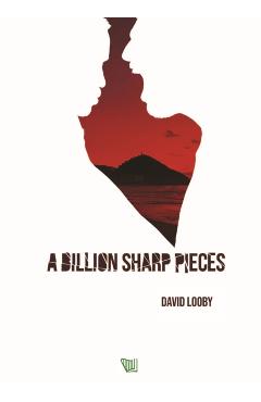 A Billion Sharp Pieces - David Looby