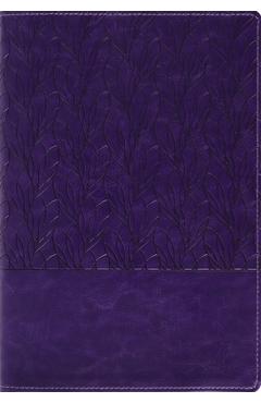 Coperta cărții 'Amplified Holy Bible, Large Print, Leathersoft, Purple: Captures the Full Meaning Behind the Original Greek and Hebrew -'