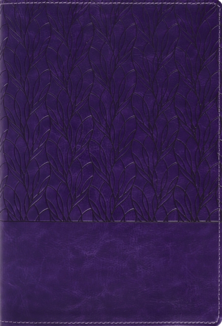 Coperta cărții 'Amplified Holy Bible, Large Print, Leathersoft, Purple: Captures the Full Meaning Behind the Original Greek and Hebrew -'