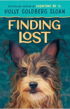 Finding Lost - Holly Goldberg Sloan
