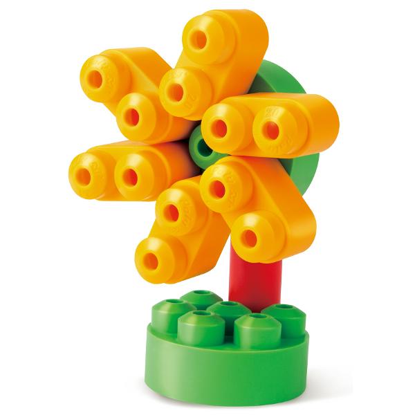 Animale. PolyM