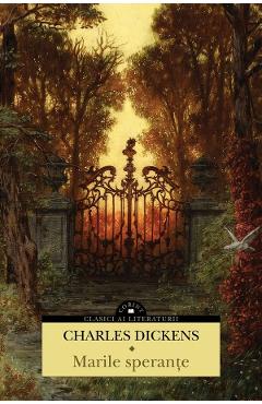 Coperta cărții 'Marile speranțe - Charles Dickens'