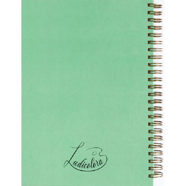 Agenda: Vulpita