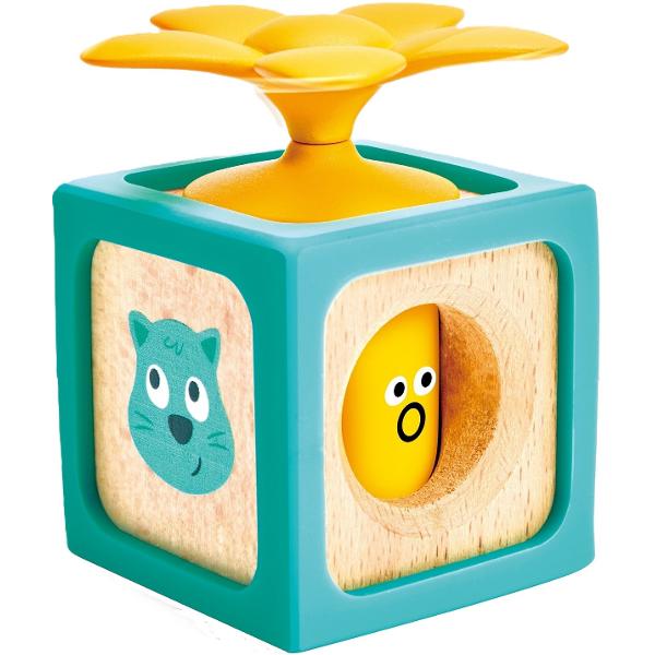 Blocuri de descoperire interactive