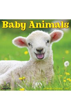 Baby Animals 2027 Wall -