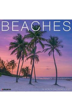 Beaches 2027 Wall -