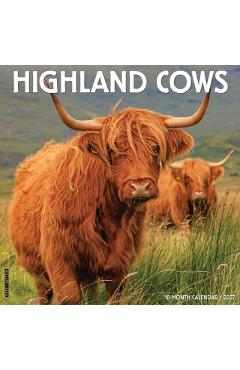 Highland Cows 2027 Wall -