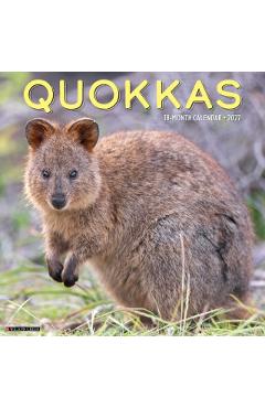 Quokkas 2027 Wall -