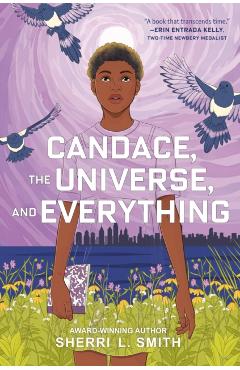 Coperta cărții 'Candace, the Universe, and Everything - Sherri L. Smith'