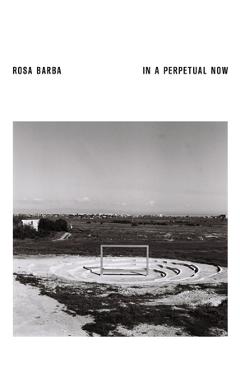 Coperta cărții 'Rosa Barba: Impermanence in Fields - Rosa Barba'