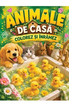 Coperta cărții 'Animale de casă. Colorez și înrămez'