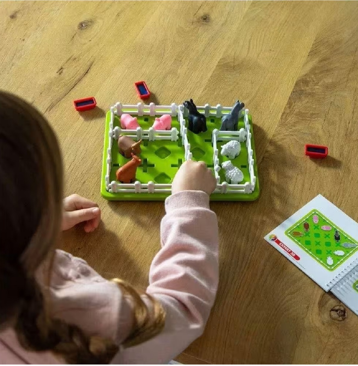 Imaginea produsului 'Joc de logică. Smart Farmer'