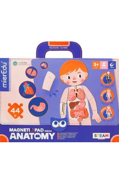 Imaginea produsului 'Joc magnetic STEAM: Anatomia umană'