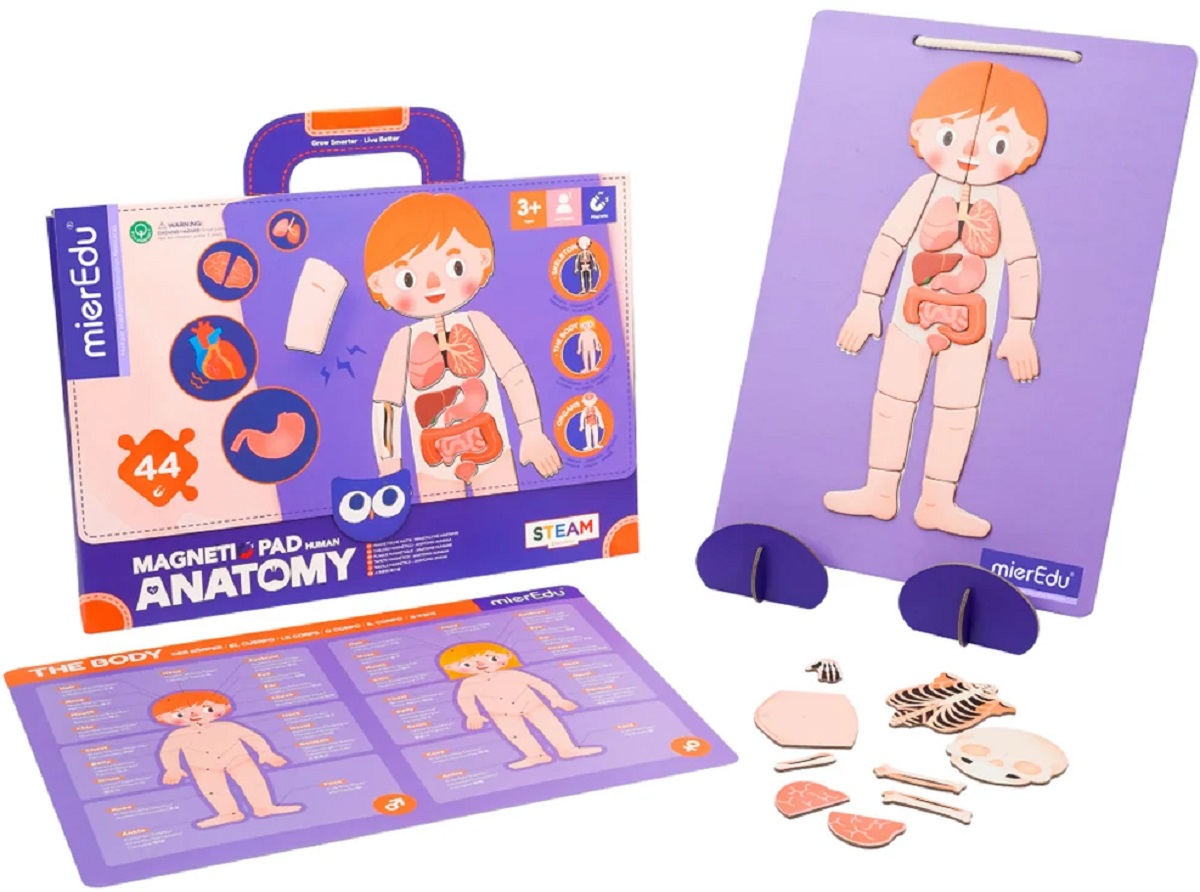 Imaginea produsului 'Joc magnetic STEAM: Anatomia umană'