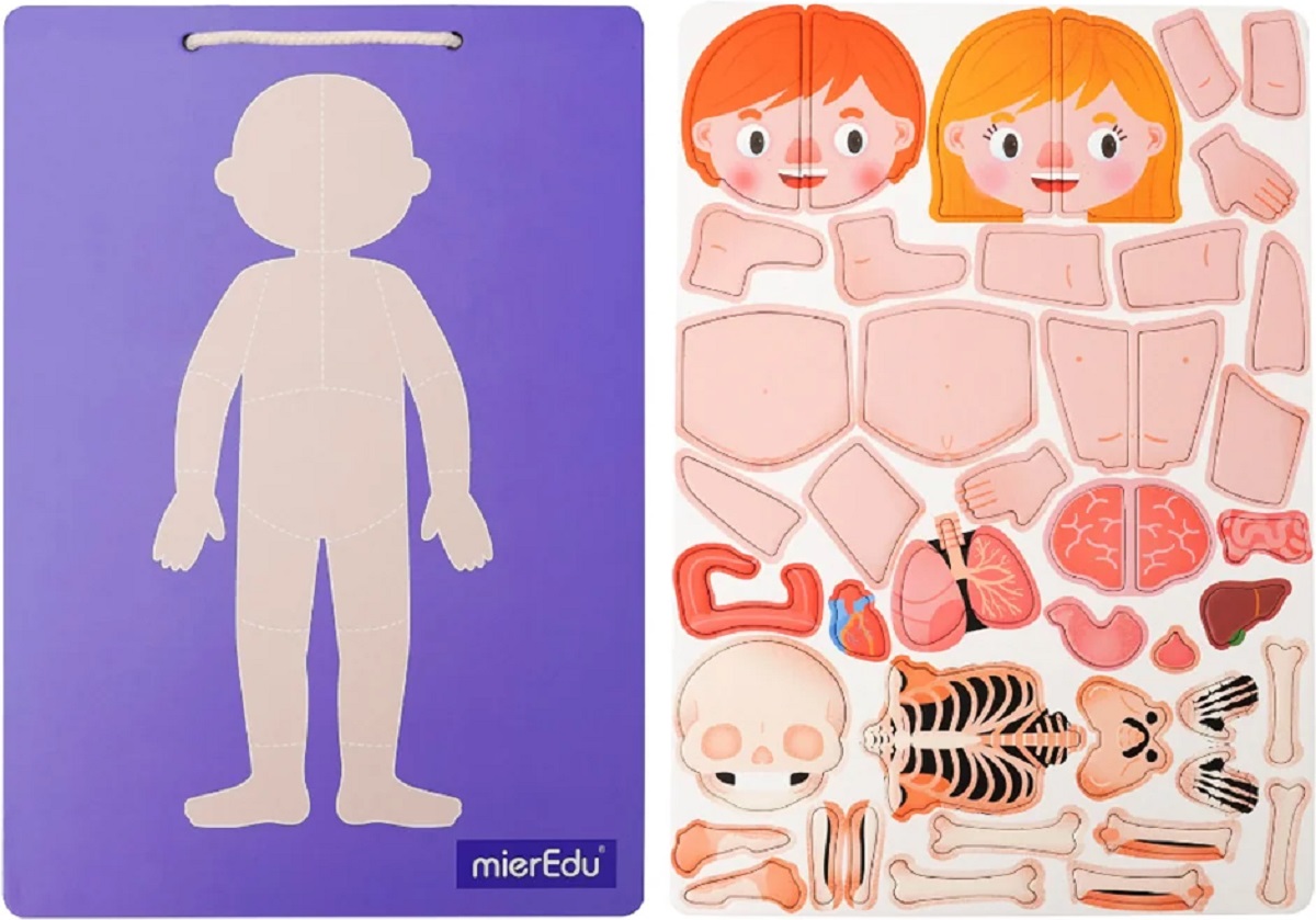 Imaginea produsului 'Joc magnetic STEAM: Anatomia umană'