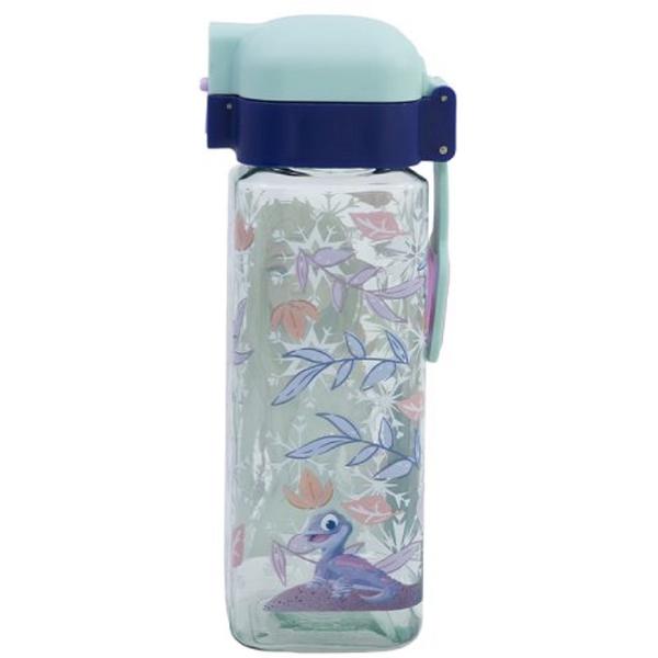 Sticla de apa.  Regatul de gheata 550 ml