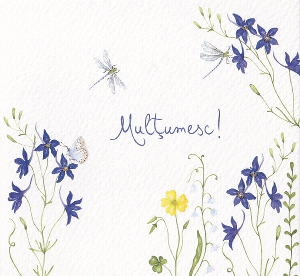 Imaginea produsului 'Felicitare: Mulțumesc! Nemițșor de câmp. Mai Colorat'