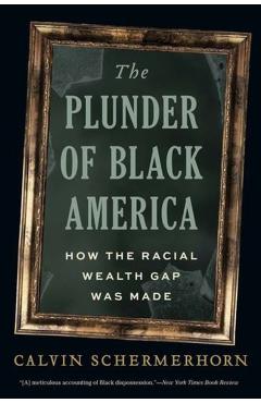 The Plunder of Black America: How the Racial Wealth Gap Was Made - Calvin Schermerhorn