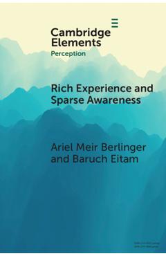 Coperta cărții 'Rich Experience and Sparse Awareness: Sensing More Than We Know - Ariel Meir Berlinger'