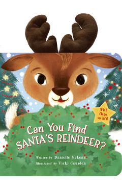 Coperta cărții 'Can You Find Santa's Reindeer?: With Flaps to Lift! - Danielle Mclean'