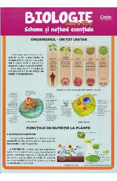 Coperta cărții 'Biologie - Clasa 6 - Scheme și noțiuni esențiale - Silvia Olteanu, Camelia Manea, Iuliana Tanur'