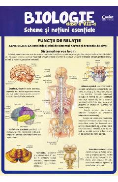 Coperta cărții 'Biologie - Clasa 7 - Scheme și noțiuni esențiale - Silvia Olteanu, Camelia Manea, Iuliana Tanur'